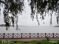 -丁香湖公园
