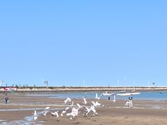 -在海一方公园