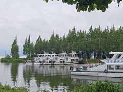 -才村湿地公园