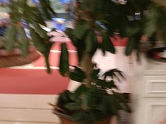 -天天渔港(杏林街店)