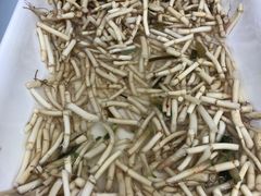 -丝恋丝娃娃(逸天城国贸店)