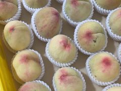 -老袁家蜜桃农场·阳山水蜜桃