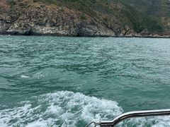 -小猫钓鱼海钓俱乐部(椰梦长廊店)