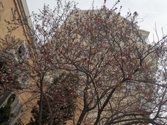 -有位虾匠·香辣蟹·小龙虾(李村店)