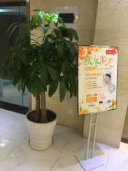 -银座Calla