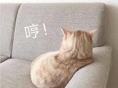 -项记面馆(明瓦廊店)