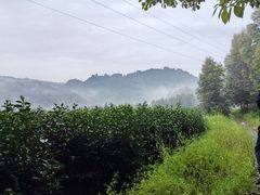 -国色天乡三期陆地乐园