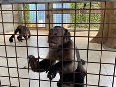 -武清南湖绿博园