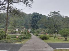 -广西壮族自治区药用植物园