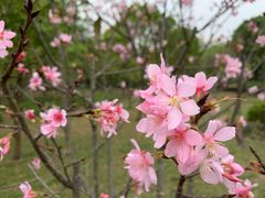 -聚龙山公园