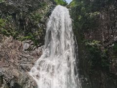 -龙湾潭国家森林公园