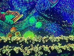 -梵高星空艺术馆(北京旗舰店)