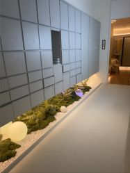 -苑苑vbeauty科技美容SPA