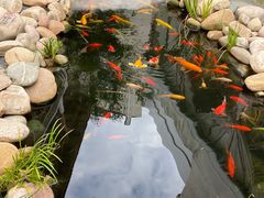 -南枝小馆(银鱼巷店)