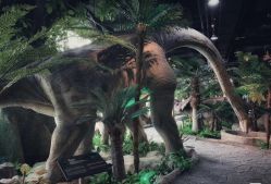 -恐龙探索乐园(磁器口店)