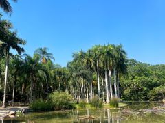 -中国科学院西双版纳热带植物园