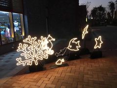 -三亚海昌梦幻海洋不夜城