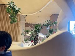 -Bco豆库(苏州中心店)