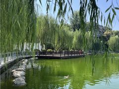 -莲湖公园