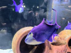 -Zoolung Zoolung动物主题公园(海信广场店)