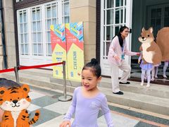-中国福利会少年宫