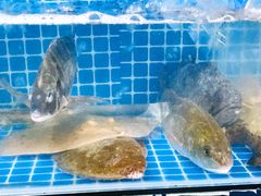 -宾朋海鲜美食餐厅·特色美食(兴海路店)