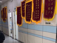 -中农国际动物医院24小时·猫科·骨科·急重症中心