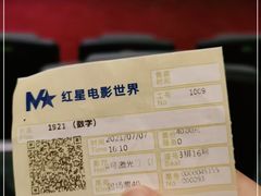 -红星电影世界上海张江绿地店