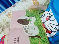 -厦门市少年儿童图书馆(中山公园馆)