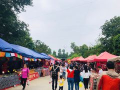 -秀丽东方