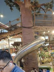 -卡通尼·Safari非洲探索乐园·生日会(金桥国际商业广场店)