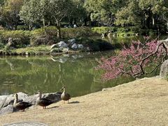 -杭州植物园