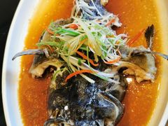 -春色如许·茶食餐厅(桃李春风店)