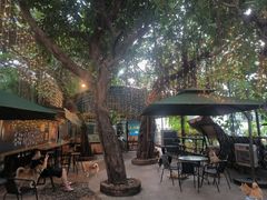 -柴犬高等学院·狗咖·柴犬售卖·宠物训练