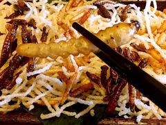 昆虫总动员-云海肴·汽锅鸡·云南菜(天山百盛优客店)