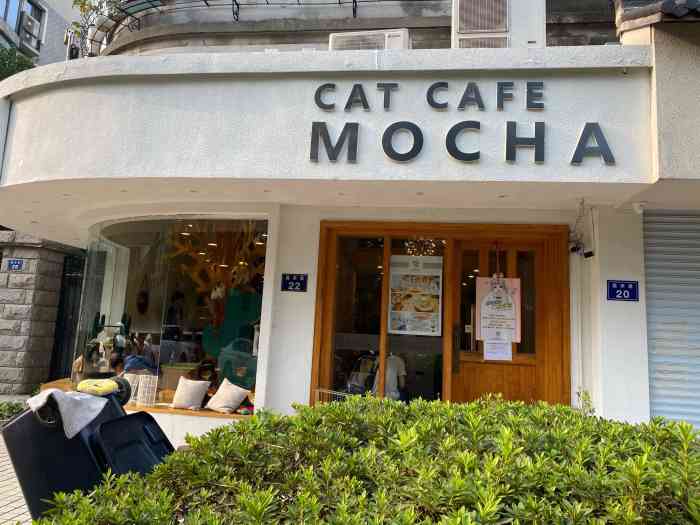 mocha猫咪咖啡(西湖银泰店)