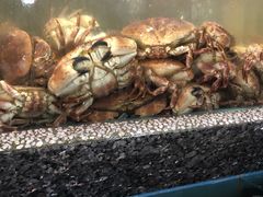 -江杨农产品批发市场