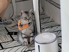 -白夜2D咖啡馆