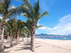 -玫瑰海岸文化旅游度假区