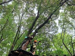 -WeLope紫金山探险公园