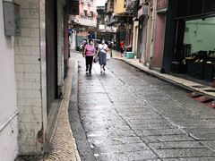 -洪馨椰子