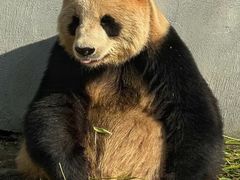 -杭州野生动物世界