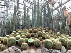 -南山植物园