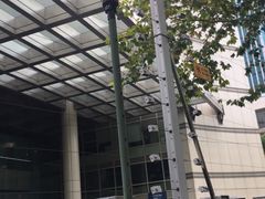 -上海广播电视台&上海东方传媒集团有限公司快递接收处