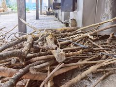 -前小桔亲子创意农场·草莓采摘·露营烧烤