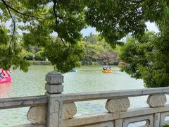 -翠湖公园