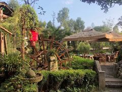 -青城甲(青城山店)