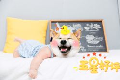点击看大图 -大树儿童摄影