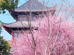 -堤角公园