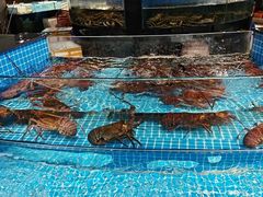 -新阿布海鲜大酒店